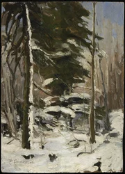 Rand van het bos