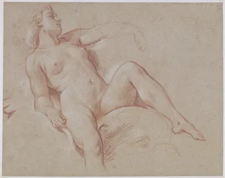 Vrouwelijk naakt op een dolfijn