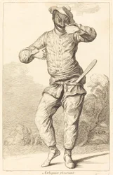 Arlequin huilt