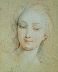 Het Hoofd van Venus