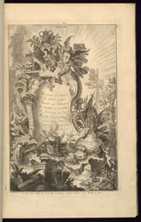 Ontwerp voor Cartouche