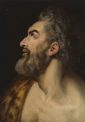 Studie hoofd van een man met baard