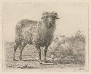 Ram en schaap
