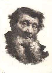 Oude Man met Gespleten Grijze Baard
