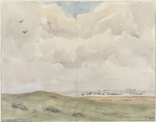 Duinlandschap met kudde