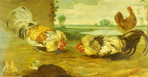 Een hanengevecht