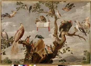Het concert van de vogels