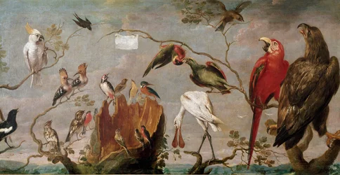 Vogelconcert. Schilderij door Frans Snyders (Snijders) (1579-1657) 17e eeuw Madrid, Prado Museum