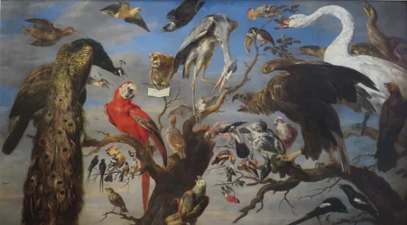 Concert van vogels