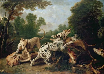 Honden vechten in een beboste open plek
