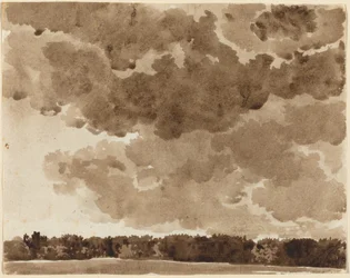 Wolken boven een Bos