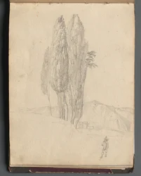 Album met Uitzichten van Rome en Omgeving, Landschapsstudies, pagina 20a: Bomen