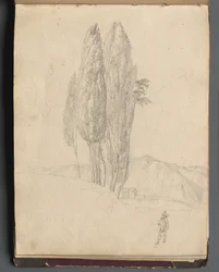 Album met Zichten op Rome en Omgeving, Landschapsstudies, pagina 20a: Bomen