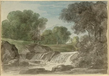 Boomlandschap