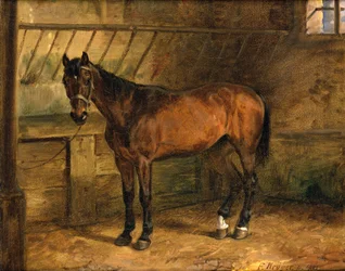 Paard in de stal