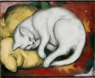 De witte kat