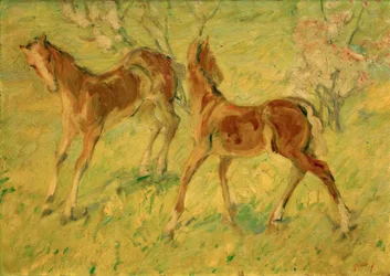 Veulen in de wei (Springende veulens)