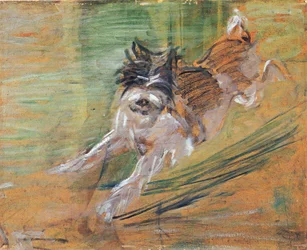 Springende hond