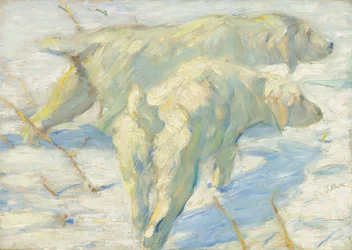 Siberische honden in de sneeuw