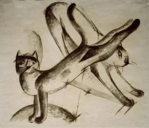 Spelende katten