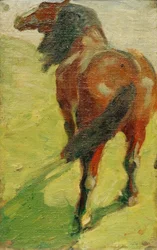 Studie van een paard