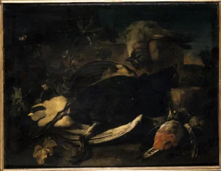 Dode vogels
