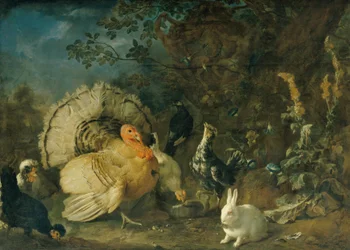 Pluimvee en konijnen