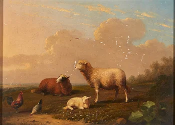 Schapen en kippen in een weide