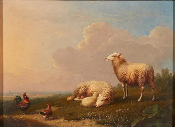 Schapen en kippen in een weide