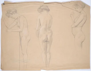 Naaktstudies van een zwangere vrouw
