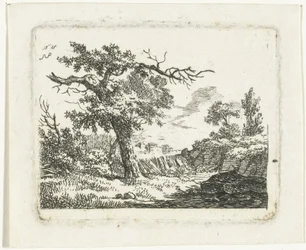 Landschap met boom met twee dode takken