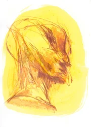 Het portret 1