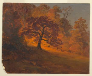 Herfstbladeren