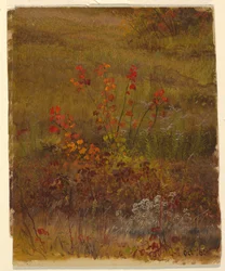 Botanische studies