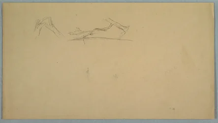 Gebroken boomstammen