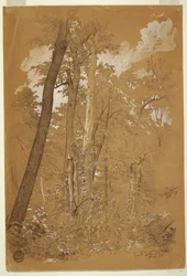 Kastanjebomen op Goat Island, Niagara River, New York