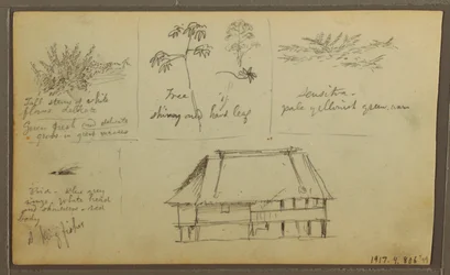 Tekening, Een fort; Verso: Botanische schetsen, Huis, 1857
