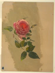Tekening, Een rozenboom, 1860-70