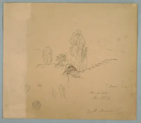 Tekening, Een rieten dak en een pannendak met boomtoppen in een berglandschap bij Chimborazo, Ambato, Ecuador, 17 juni 1857