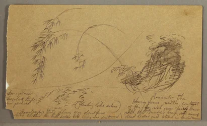 Tekening, Bamboe-achtige twijgen, mogelijk 1865-66