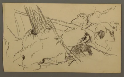 Tekening, Basis van boom, rotsblok, mogelijk 1877