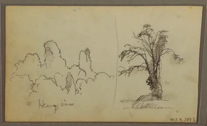 Tekening, Bireds, "Rots in Panama Bay"; Verso: "Zware wijnranken", 15 mei 1857