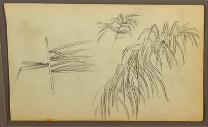 Tekening, Botanische schetsen, 1857