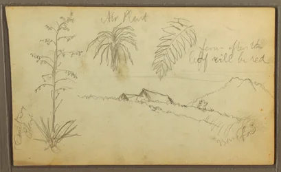 Tekening, Botanische schetsen, 1857