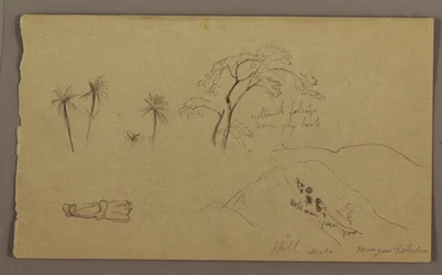 Tekening, botanische schetsen, figuur, mei-augustus 1865