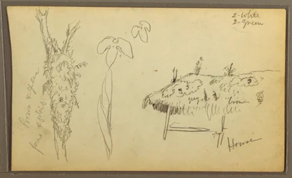 Tekening, Botanische Schetsen, huis; botanische schetsen, 1857