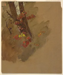 Tekening, Botanische studies, 1860-70