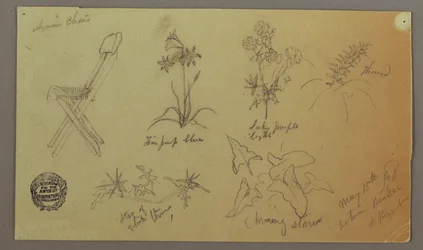 Tekening, Stoel- en Plantenstudies, 15 mei 1868