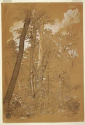 Tekening, Kastanjebomen op Goat Island, Niagara River, New York, augustus 1858