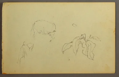 Tekening, Koe krabt aan haar hoofd, bladplant, mogelijk 1844